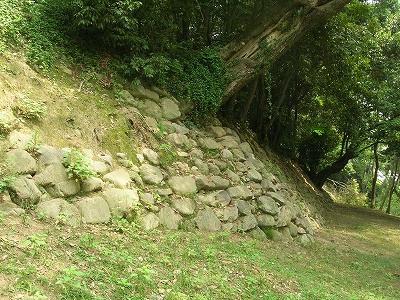 社長