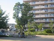 社長