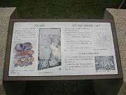 社長