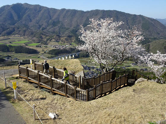 takeda-kozi-3