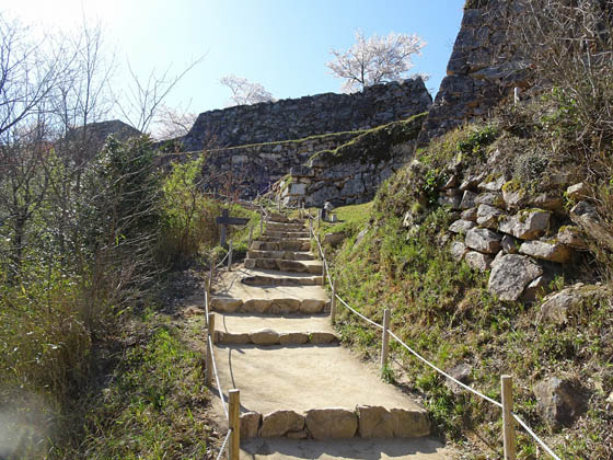 takeda-kozi-6